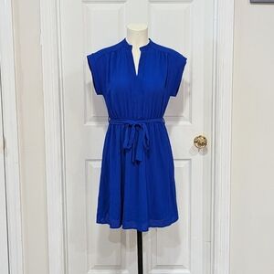 Royal Blue Simple Dress